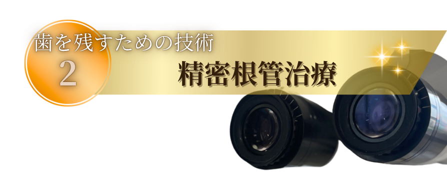 歯を残すための技術2:精密根管治療