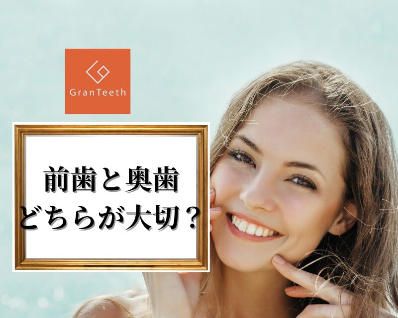 前歯と奥歯 どちらが大切?