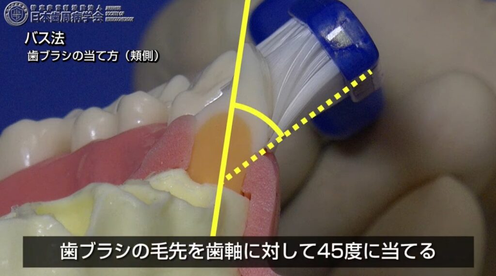 バス法
